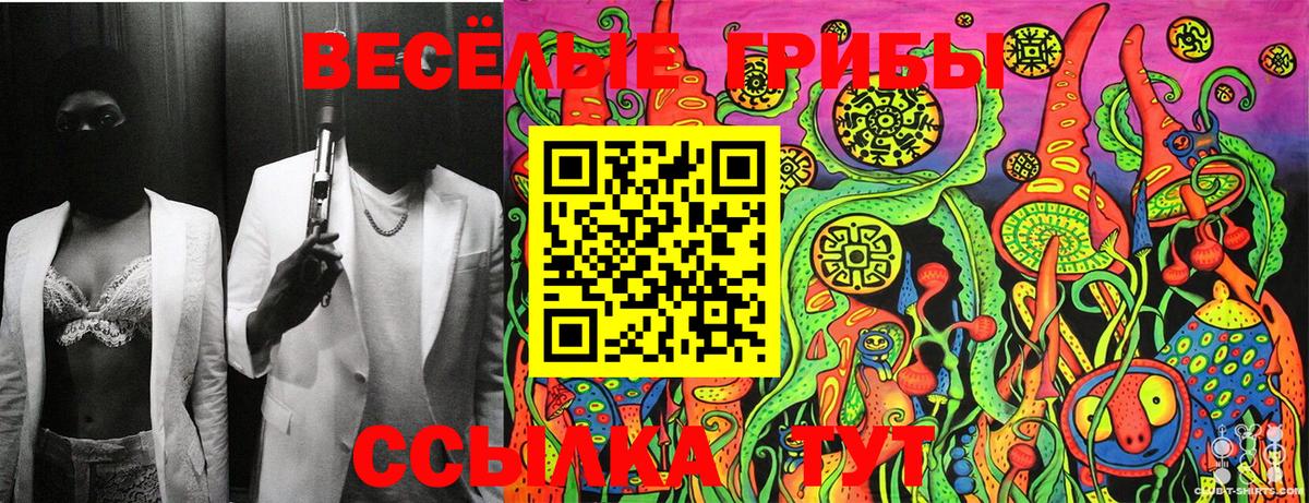 Псилоцибиновые грибы Cubensis  Вход с VPN  Дербент 